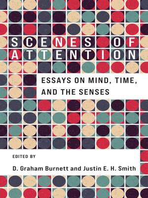 cover image of Scenes of Attention